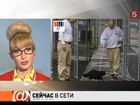 «Сейчас в сети». Выпуск 11 мая 2012 года