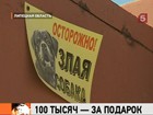 Любовь к животным и излишняя доверчивость влетели в копеечку жителю Липецка