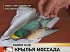 Животных снова обвиняют в шпионаже на Израиль