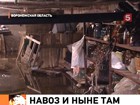 В Воронежской области навозная жижа затопила дома и огороды