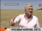 На юге России подсчитывают убытки от засухи