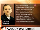 Джулиан Ассанж сможет покинуть Британию, если будет назначен официальным представителем Эквадора в ООН