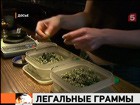 Правительство Уругвая предложило легализовать марихуану