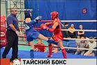 В Нижнем Новгороде стартовал чемпионат России по тайскому боксу