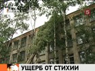 В Липецке ураган убил человека и двинулся в Воронежскую область, там  ущерб в полмиллиарда рублей