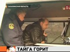 Пять лесных пожаров бушуют на Сахалине