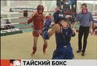 В Нижнем Новгороде проходит чемпионат по тайскому боксу