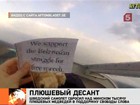 Белоруссию закидали плюшевыми медведями - в поддержку свободы слова