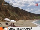 В Крыму спасатели пытаются уберечь отдыхающих от них же самих