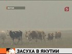 Вечная мерзлота Якутии уже не кажется  вечной. Два месяца тридцатиградусной жары - посевы гибнут