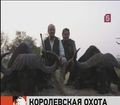 Короля Испании лишили звания почетного президента местного отделения WWF