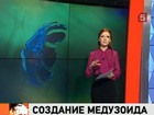 Американским ученым удалось оживить кусок силикона