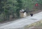 Жители Нью-Мексико, рискуя жизнью, спасли медвежат, застрявших в мусорном контейнере