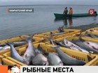 На Камчатке бьют тревогу: Россию ждёт дефицит красной рыбы