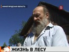 В Нижегородской области -  конфликт. Отношения выясняют местный отшельник и бобры