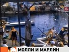 Невероятным уловом закончилась женская рыбалка на Гавайах