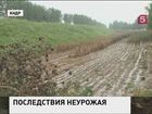 Северная Корея оказалась на пороге массового голода