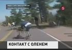 В Колорадо трагедией чуть не закончились соревнования по скоростному спуску на скейтбордах