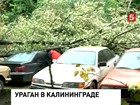 Мощный шторм обрушился ночью на Калининград, два человека погибли