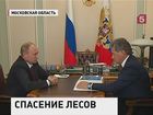 Владимир Путин обсудил проблему спасения подмосковных лесов с губернатором области