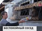 В Иркутской области на пилораме нашли медвежонка-нелегала