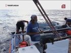 В Тихом океане акулы напали на судно сибирских экстремалов