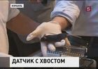 Израильские учёные разработали новую систему досмотра пассажиров