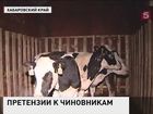 Новый скандал в сельхозведомстве Хабаровского края