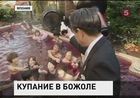 Японцы искупались в молодом вине