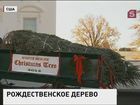 В Вашингтоне в Белый дом привезли рождественскую ёлку