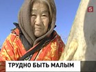 Аборигены всего мира встали на защиту нанайцев