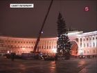 В Петербург привезли главную новогоднюю елку