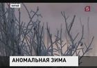 Полмира пострадало от погодных аномалий