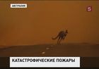 Природные пожары на юго-востоке Австралии достигли катастрофических размеров