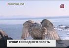 В Приморском крае выпустили на волю кречетов