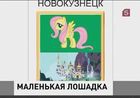 Курьезом завершился в Новокузнецке конкурс на лучшую эмблему для празднования четырехсотлетия города