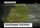 В Подмосковье предотвратили хищение земель на сумму 2 миллиарда рублей