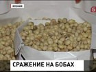 В  Японии ритуальные бобовые бои. Одни - изгоняют нечисть, другие - стрессы