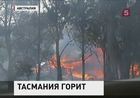 На острове Тасмания возле Австралии бушуют лесные пожары