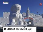 Снова предновогодняя суета. Теперь празднуем по китайскому календарю