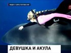 Блондинка из Гонолупу прокатилась на белой акуле