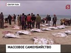 В Секторе Газа выясняют причины массовой гибели крупных скатов