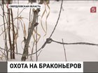 В Свердловской области расставили ловушки на браконьеров
