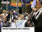 В Аргентине начался национальный фестиваль винограда