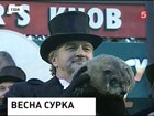 Сурок Фил будет жить