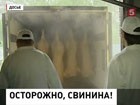 Совет Муфтиев России требует проверить московский мясокомбинат