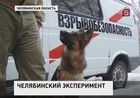 На службу к челябинским правоохранителям поступила крыса