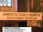 В Дагестане убит замглавы комитета по лесному хозяйству