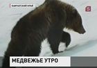 Жителей Камчатки учат дружить с хищными соседями