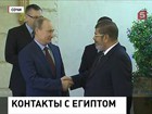 Владимир Путин встретился в Сочи с президентом Египта